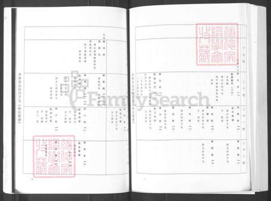 山东省烟台市栖霞市杨氏族谱-吉林市北沙河子屯(杨氏族谱).pdf电子版预览图4