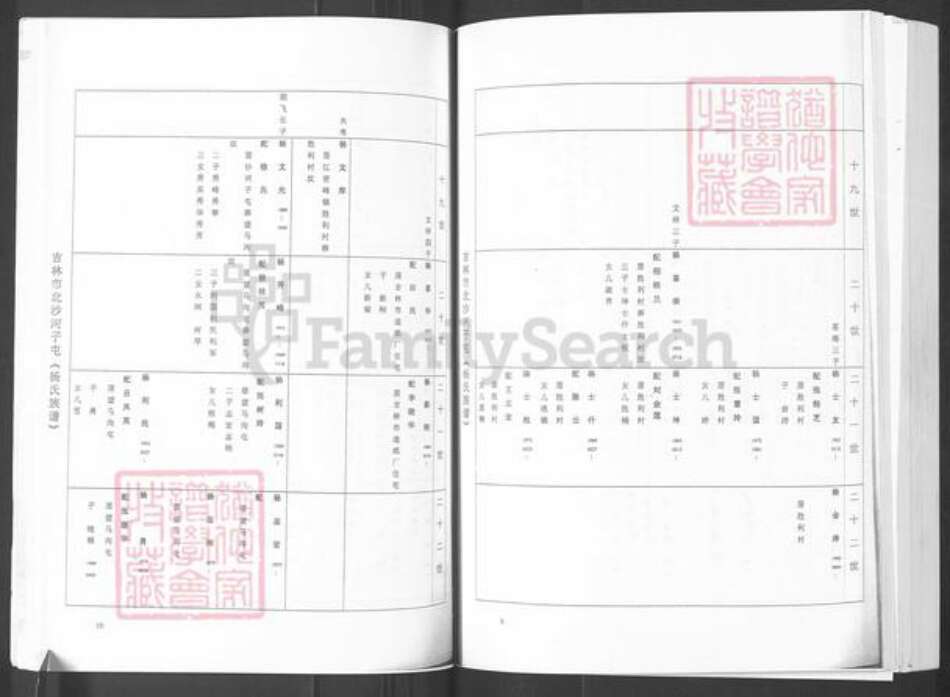 山东省烟台市栖霞市杨氏族谱-吉林市北沙河子屯(杨氏族谱).pdf电子版预览图5