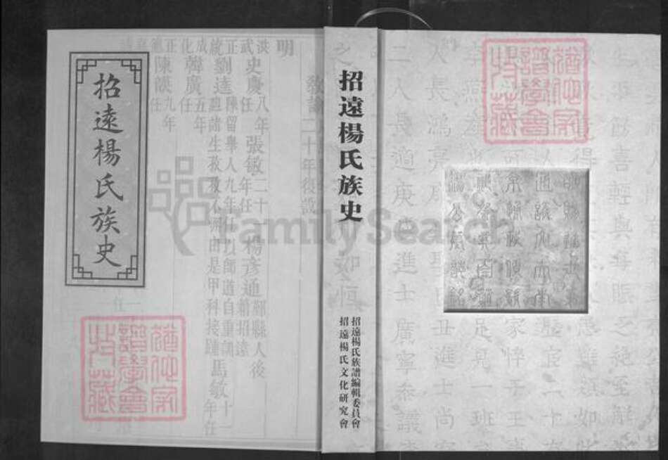 山东省烟台市招远市罗峰街道杨氏四知堂族谱-招远杨氏族谱.族史卷.pdf电子版缩略图