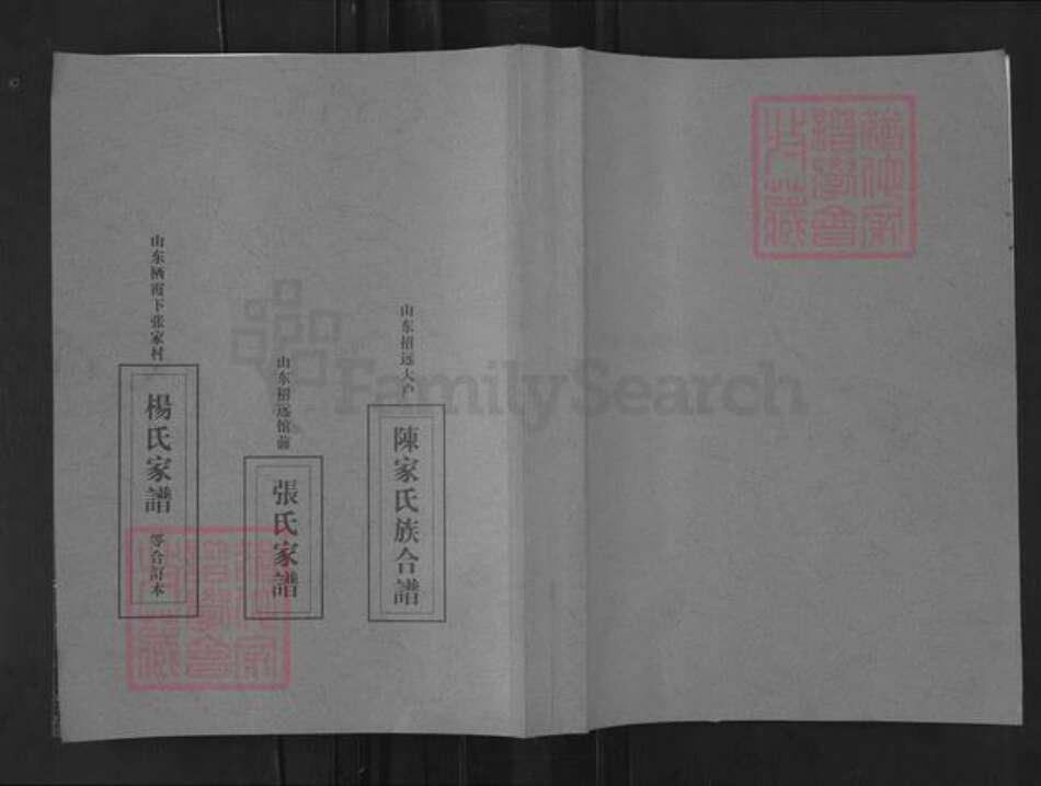 山东省烟台市莱州市柞村镇杨氏族谱-栖霞下张家村杨氏家谱.pdf电子版缩略图