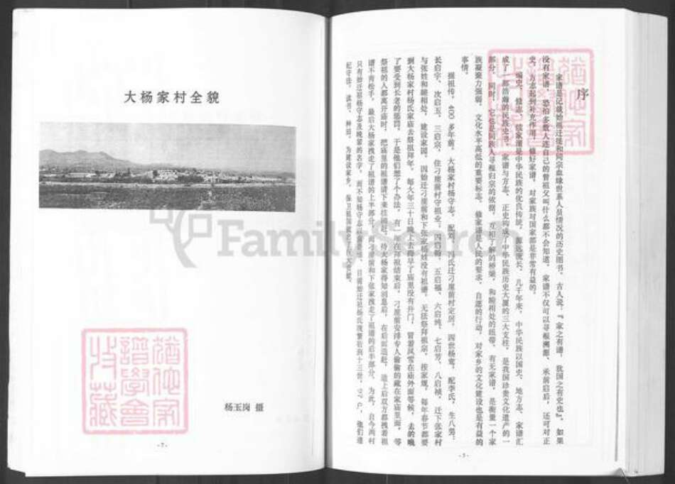 山东省烟台市莱州市柞村镇杨氏族谱-栖霞下张家村杨氏家谱.pdf电子版预览图5