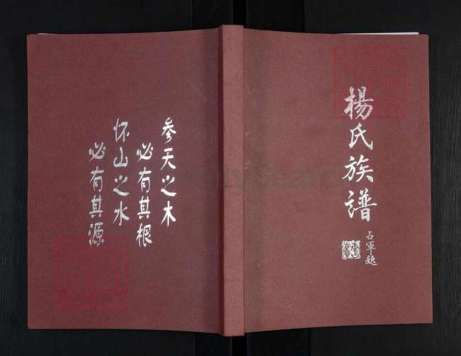 河南省周口市商水县黄寨镇杨氏四知堂族谱-杨氏族谱.pdf电子版缩略图