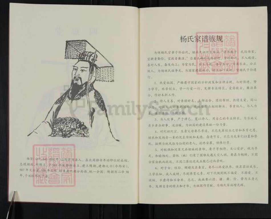 河南省周口市商水县黄寨镇杨氏四知堂族谱-杨氏族谱.pdf电子版预览图4