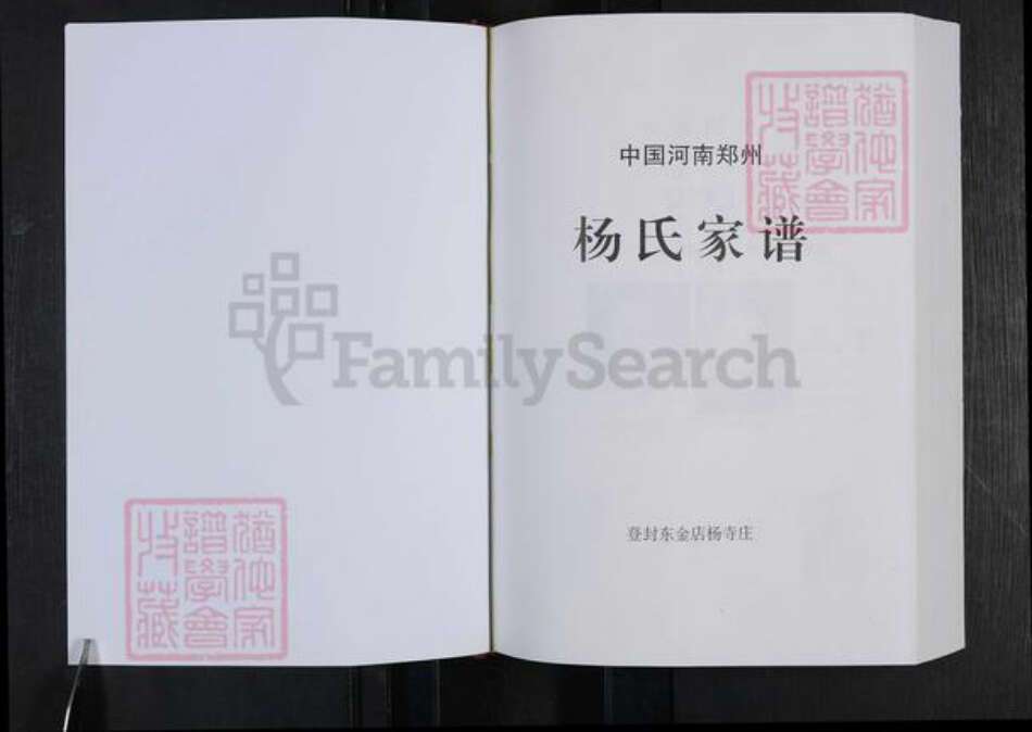 河南省郑州市登封市杨氏族谱-中国郑州杨氏家谱.pdf电子版预览图1