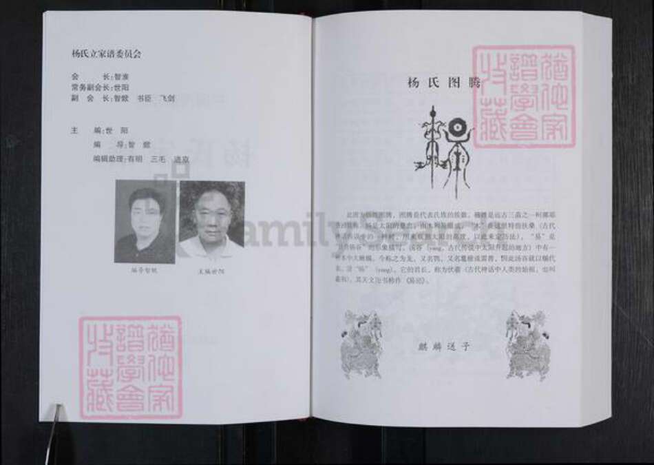 河南省郑州市登封市杨氏族谱-中国郑州杨氏家谱.pdf电子版预览图2