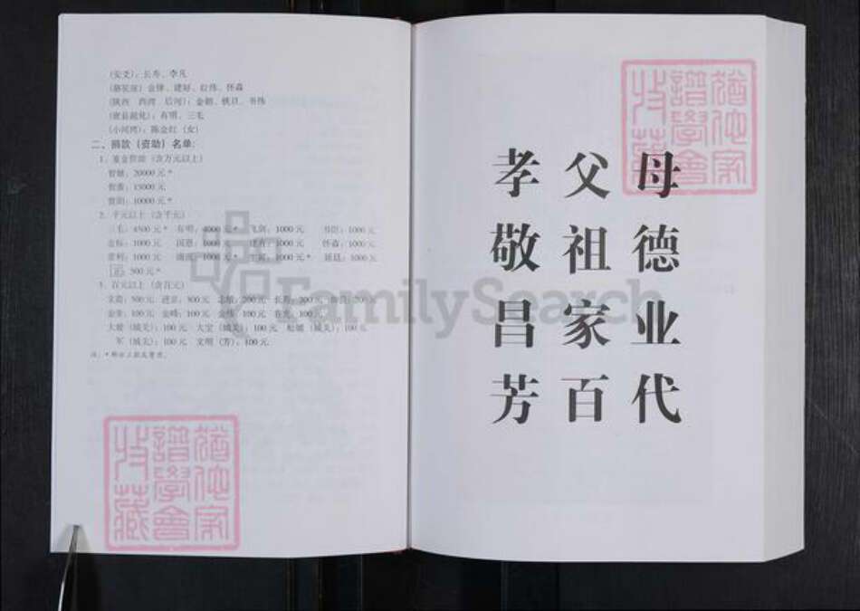 河南省郑州市登封市杨氏族谱-中国郑州杨氏家谱.pdf电子版预览图4