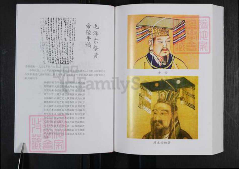 河南省郑州市登封市杨氏族谱-中国郑州杨氏家谱.pdf电子版预览图5