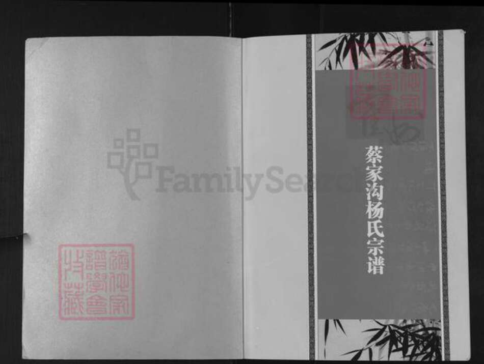 山西省临汾市霍州市师庄乡杨氏族谱-霍州蔡家沟杨氏宗谱.pdf电子版预览图1