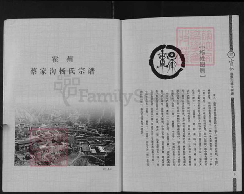 山西省临汾市霍州市师庄乡杨氏族谱-霍州蔡家沟杨氏宗谱.pdf电子版预览图2