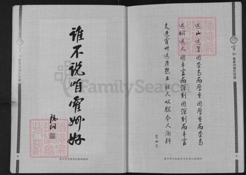 山西省临汾市霍州市师庄乡杨氏族谱-霍州蔡家沟杨氏宗谱.pdf电子版预览图4