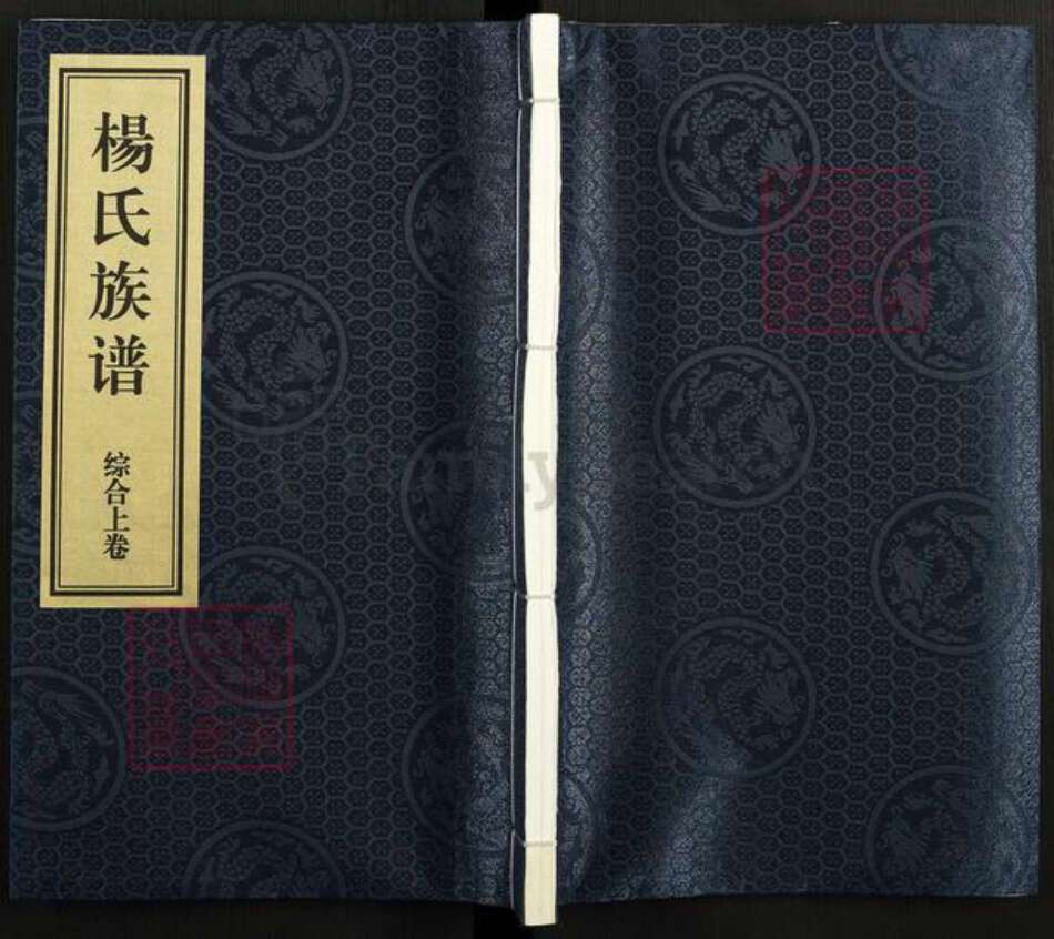 山东省济南市章丘区杨氏族谱-杨氏族谱.pdf电子版缩略图