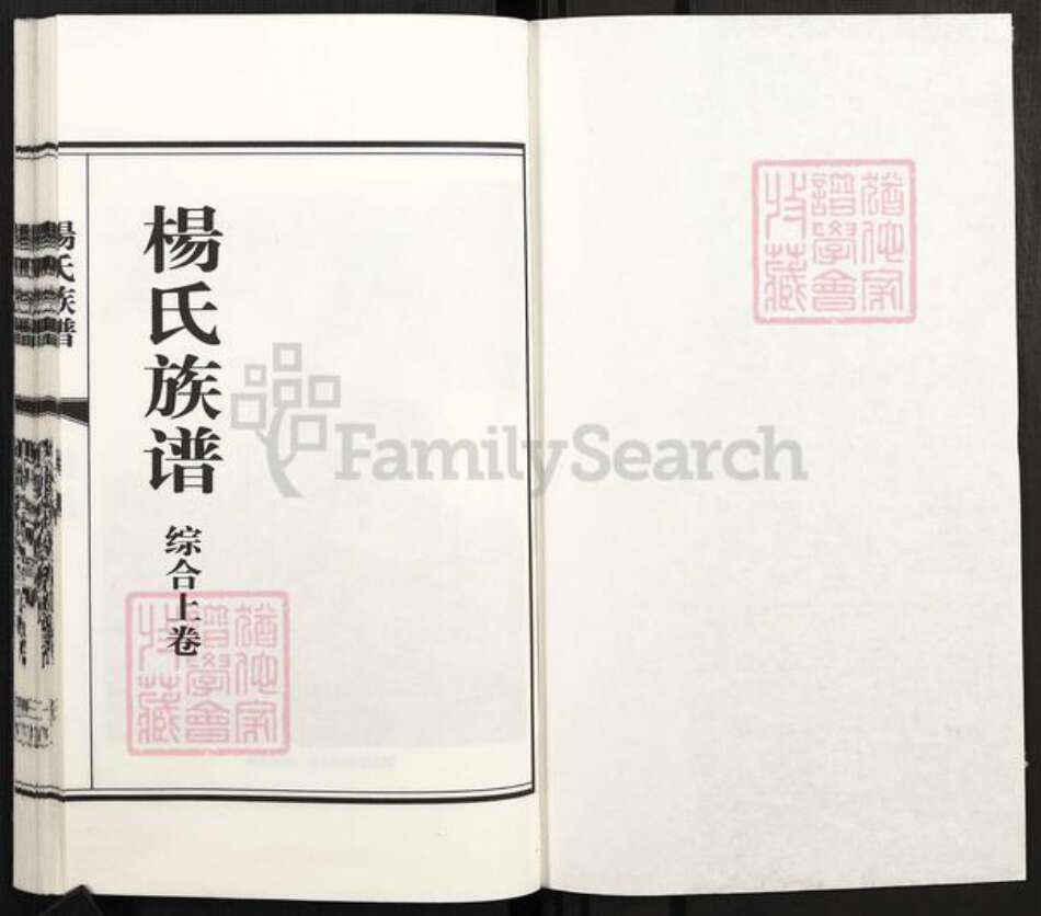 山东省济南市章丘区杨氏族谱-杨氏族谱.pdf电子版预览图1