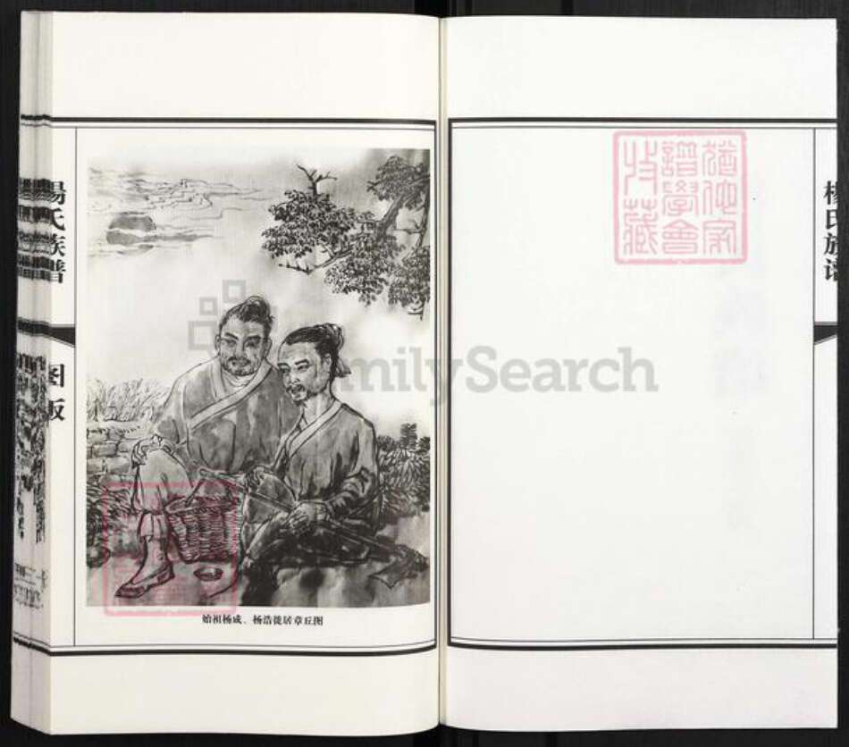 山东省济南市章丘区杨氏族谱-杨氏族谱.pdf电子版预览图2