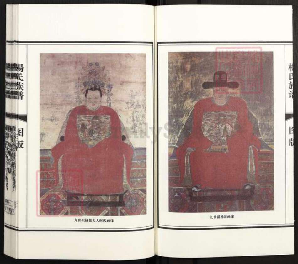 山东省济南市章丘区杨氏族谱-杨氏族谱.pdf电子版预览图3