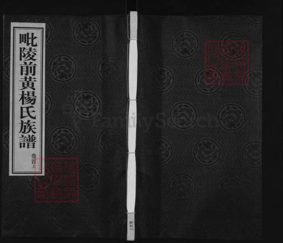 江苏省常州市武进县前黄镇杨氏怀云堂族谱-毗邻前黄杨氏族谱.pdf电子版缩略图