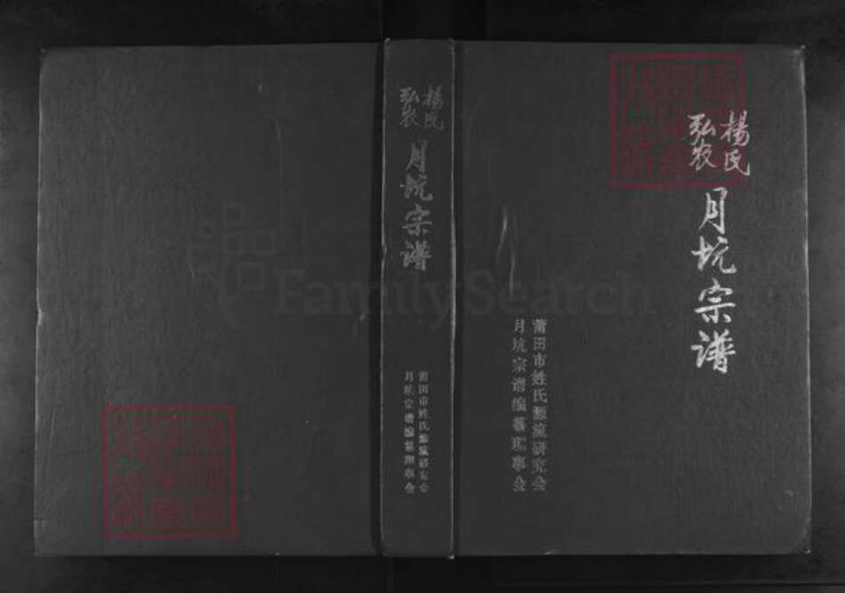 福建省莆田市秀屿区东庄镇杨氏族谱-弘农杨氏月坑宗谱.pdf电子版缩略图