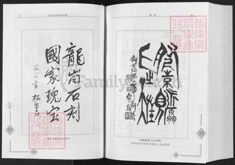 重庆市大足区中敖镇杨氏族谱-弘农大足杨氏族谱.pdf电子版预览图3