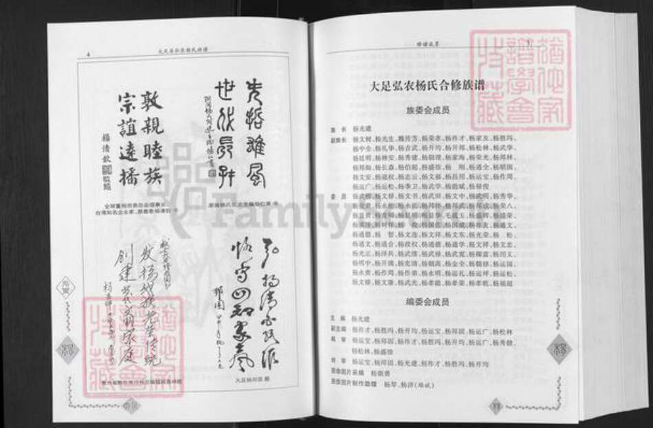 重庆市大足区中敖镇杨氏族谱-弘农大足杨氏族谱.pdf电子版预览图4