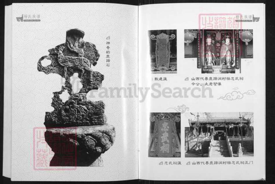 山西省忻州市代县枣林镇杨氏族谱-杨氏族谱.北宋杨家将世系.pdf电子版预览图5