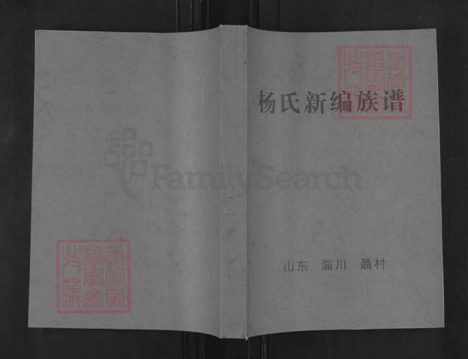 山东省淄博市淄川区杨氏族谱-杨氏新编族谱.pdf电子版缩略图