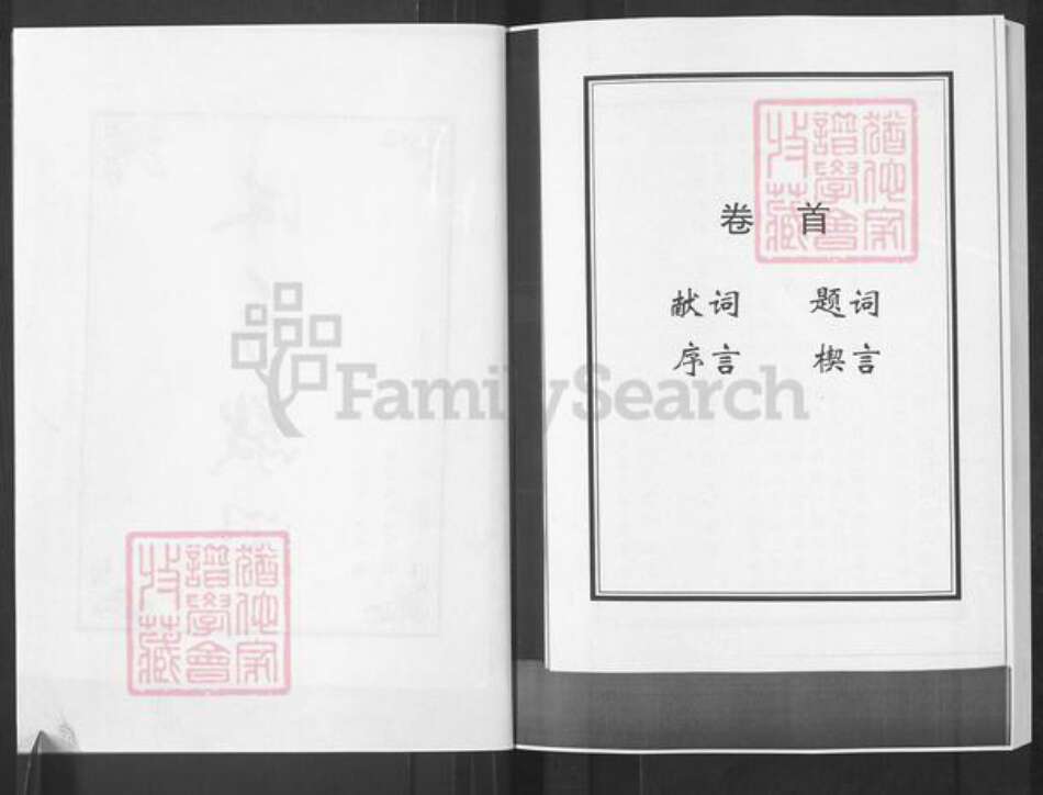 山东省淄博市淄川区杨氏族谱-杨氏新编族谱.pdf电子版预览图3