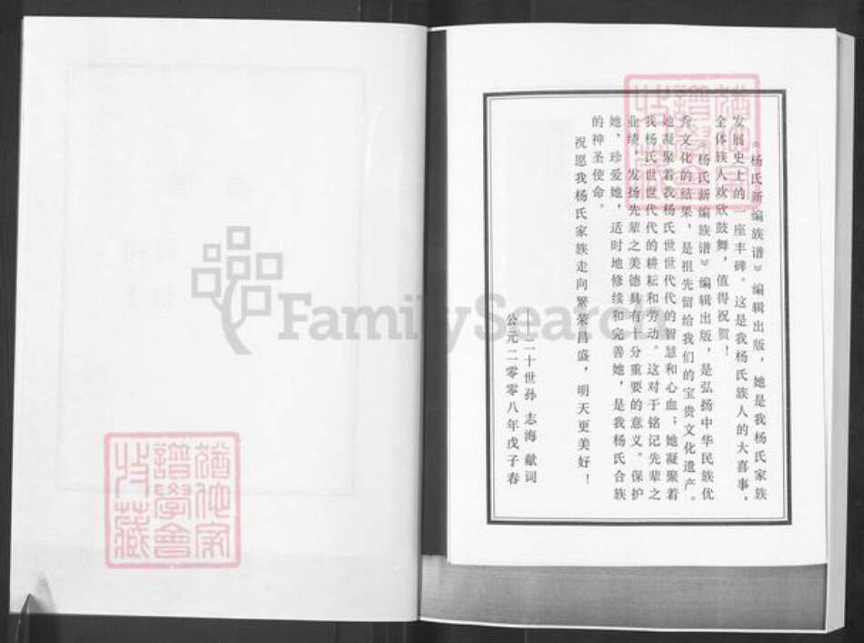 山东省淄博市淄川区杨氏族谱-杨氏新编族谱.pdf电子版预览图4