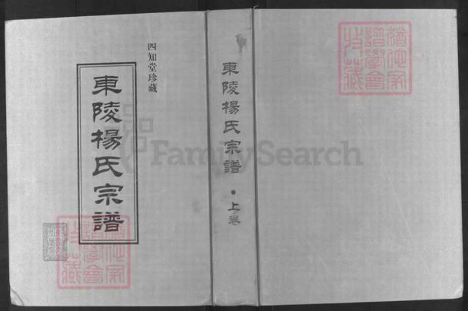江苏省常州市溧阳市杨氏四知堂族谱-东陵杨氏宗谱.pdf电子版缩略图