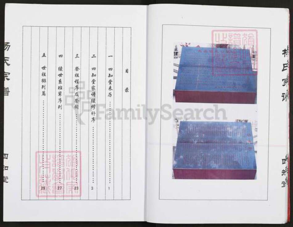 江苏省盐城市建湖县冈西镇杨氏四知堂族谱-杨氏宗谱.pdf电子版预览图5