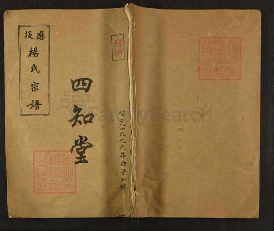 湖南省衡阳市常宁市杨氏应复堂族谱-应复杨世宗谱.pdf电子版缩略图