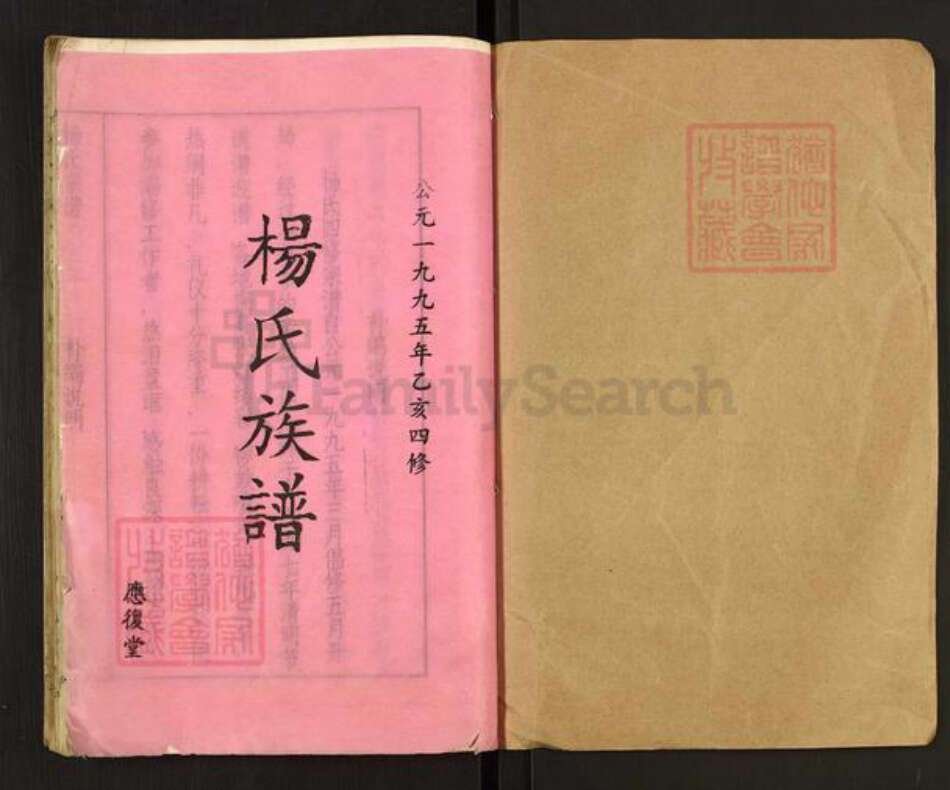 湖南省衡阳市常宁市杨氏应复堂族谱-应复杨世宗谱.pdf电子版预览图1