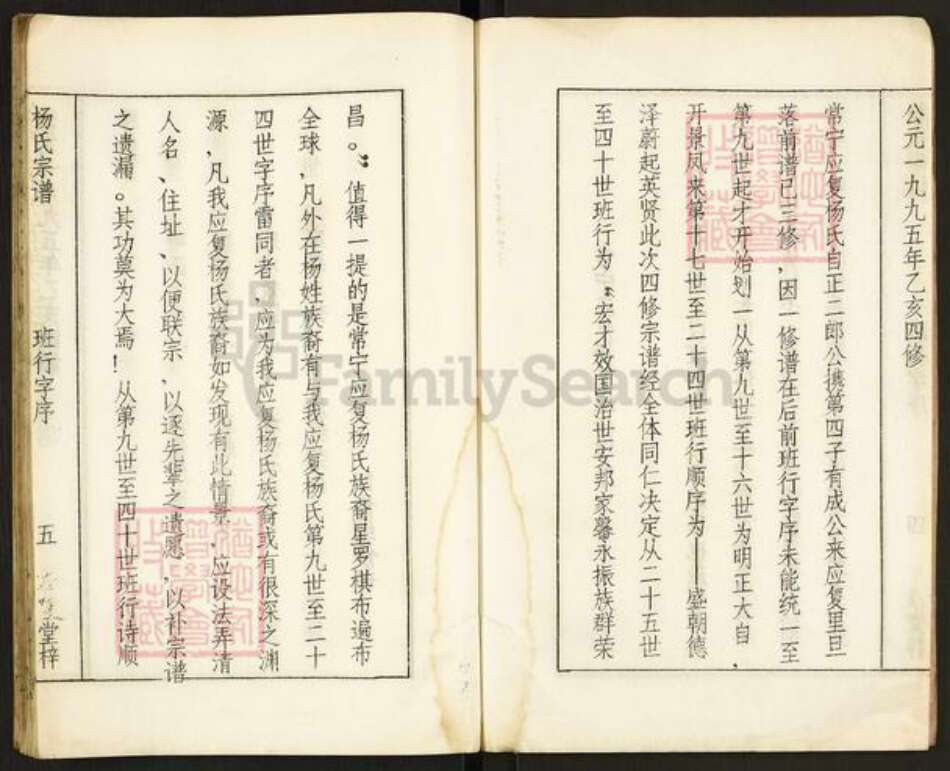 湖南省衡阳市常宁市杨氏应复堂族谱-应复杨世宗谱.pdf电子版预览图5