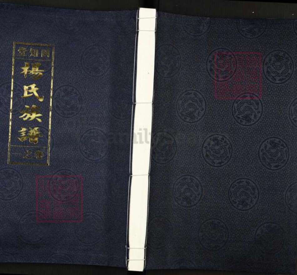 江苏省泰州市泰兴市杨氏四知堂族谱-杨氏族谱.pdf电子版缩略图