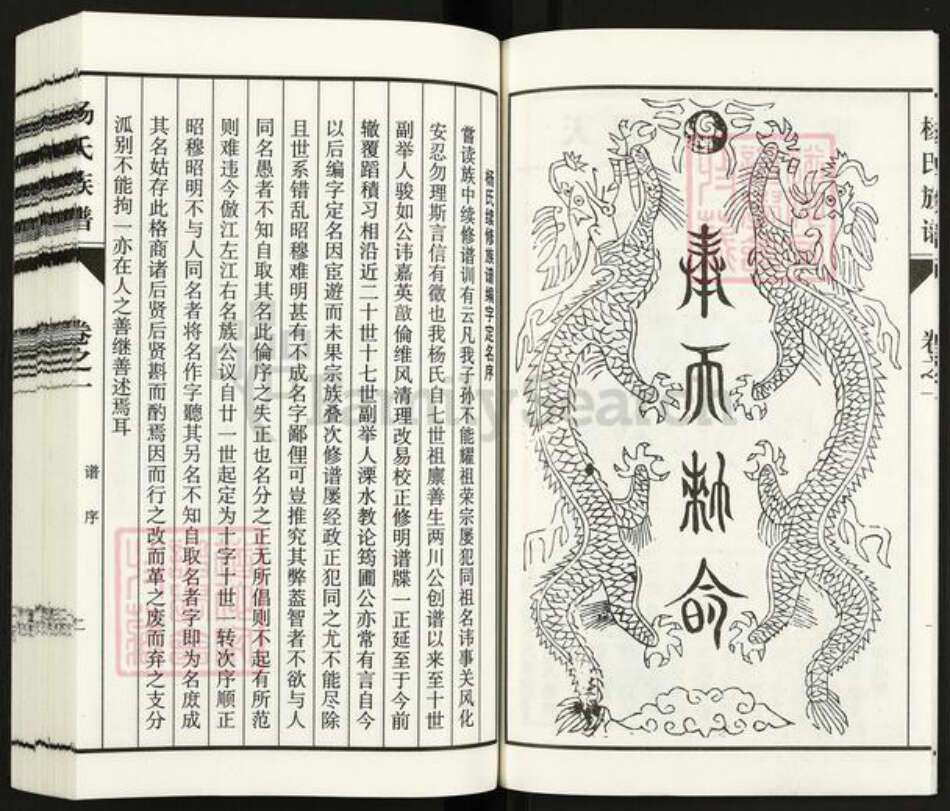 江苏省泰州市泰兴市杨氏四知堂族谱-杨氏族谱.pdf电子版预览图5