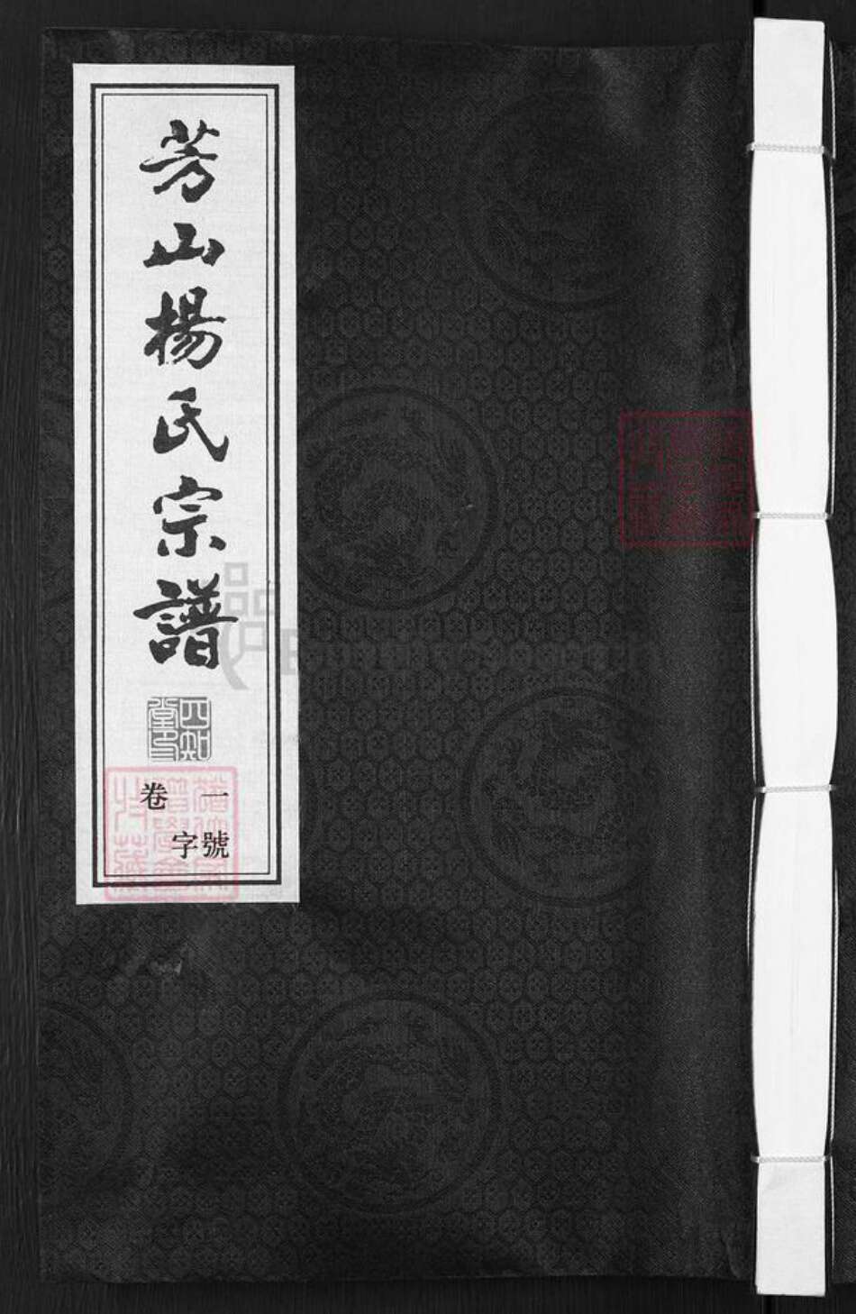 江苏省常州市武进县杨氏四知堂族谱-芳山杨氏宗谱.pdf电子版缩略图