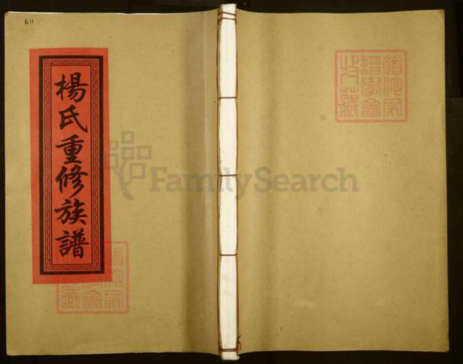 江西省宜春市丰城市杨氏敦睦堂族谱-杨氏重修族谱.pdf电子版缩略图