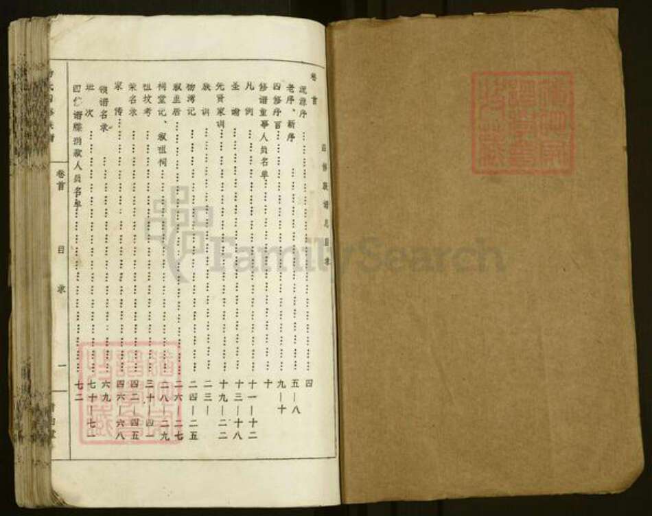 湖南省邵阳市洞口县水东镇杨氏族谱-杨氏四修族谱.pdf电子版预览图1