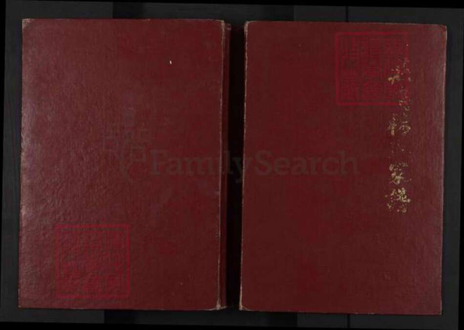 山东省临沂市兰陵县庄坞镇杨氏族谱-庄坞杨氏家谱.pdf电子版缩略图