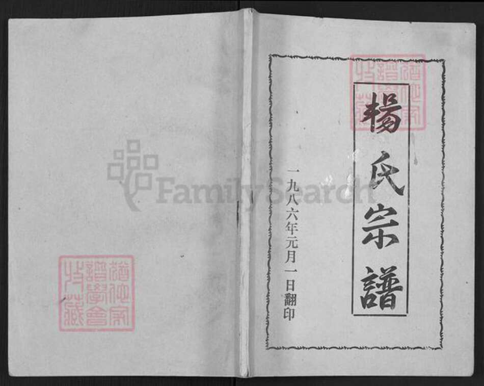 辽宁省辽阳市灯塔市杨氏族谱-杨氏宗谱.pdf电子版缩略图