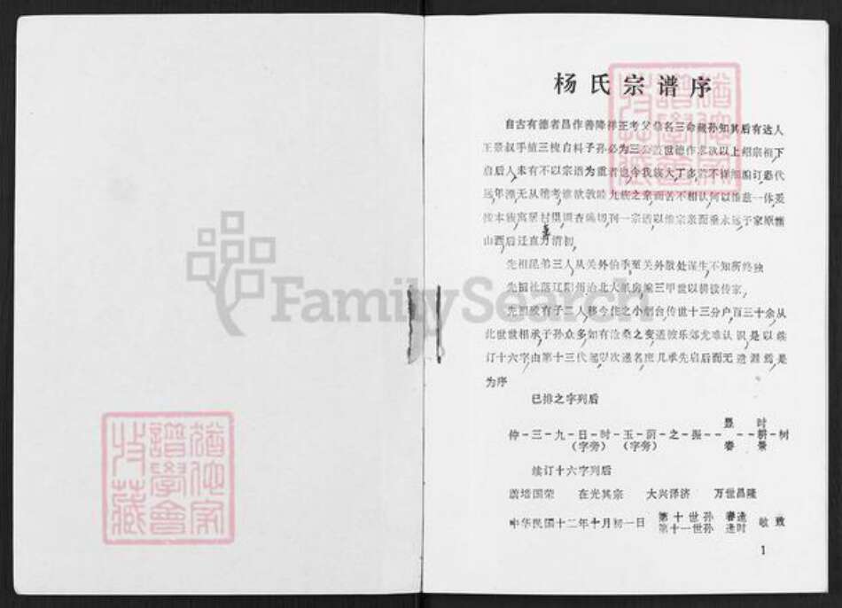 辽宁省辽阳市灯塔市杨氏族谱-杨氏宗谱.pdf电子版预览图1