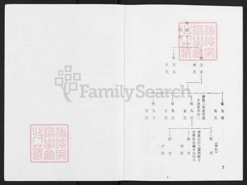 辽宁省辽阳市灯塔市杨氏族谱-杨氏宗谱.pdf电子版预览图2