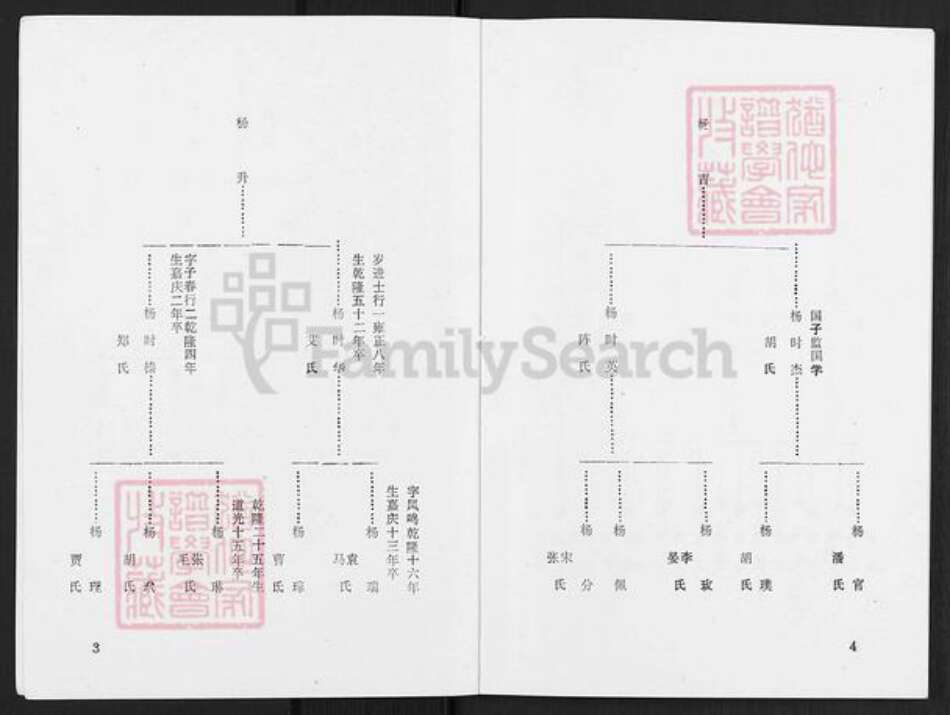 辽宁省辽阳市灯塔市杨氏族谱-杨氏宗谱.pdf电子版预览图3