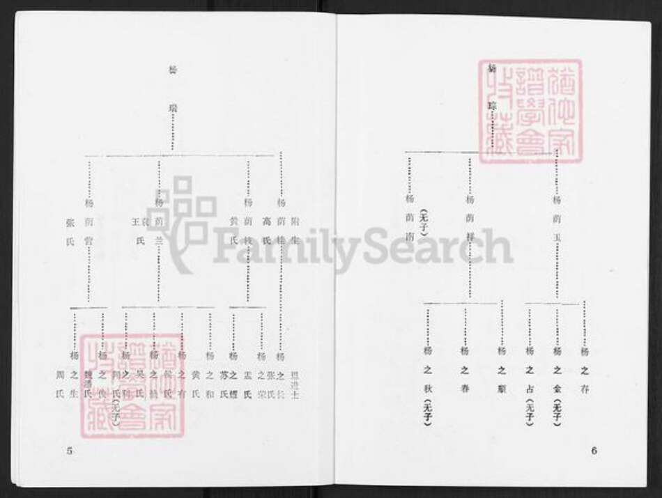 辽宁省辽阳市灯塔市杨氏族谱-杨氏宗谱.pdf电子版预览图4