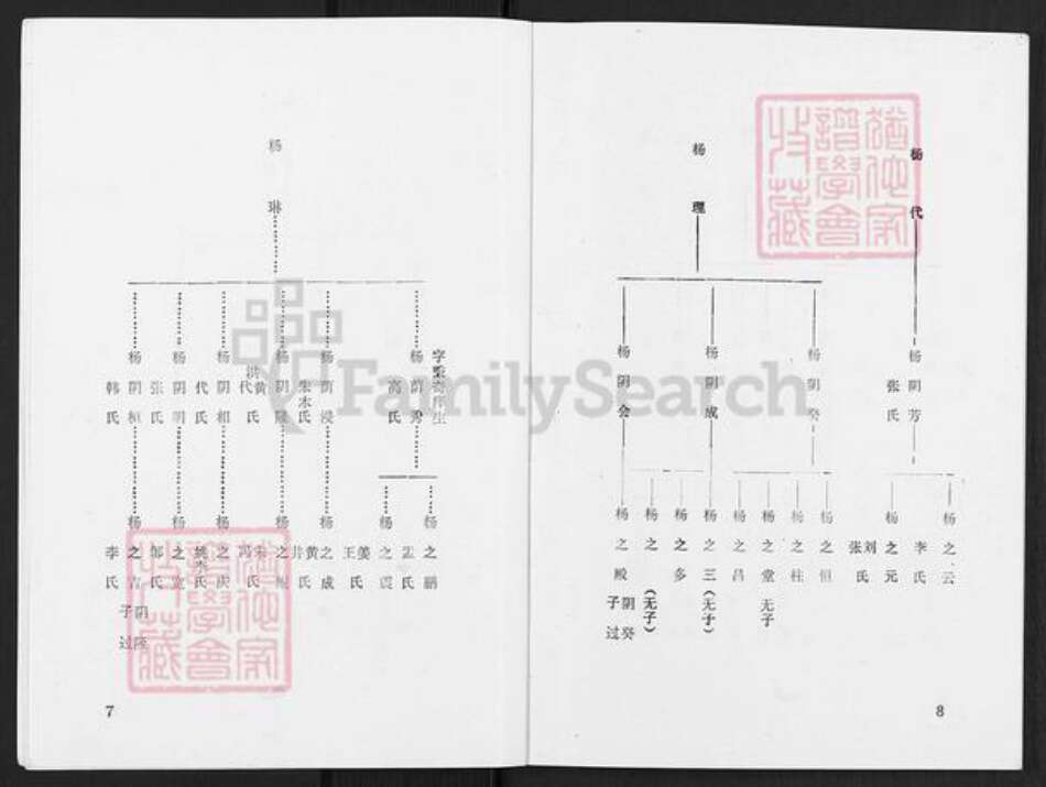 辽宁省辽阳市灯塔市杨氏族谱-杨氏宗谱.pdf电子版预览图5