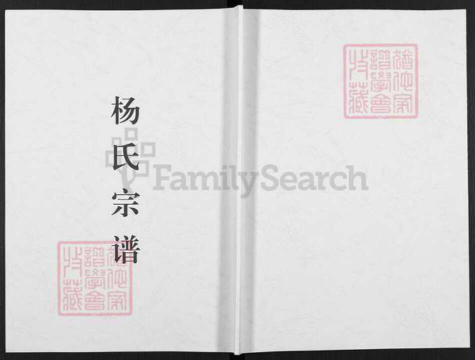 河南省洛阳市偃师市缑氏镇杨氏族谱-杨氏宗谱.pdf电子版缩略图