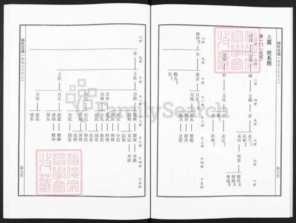 河南省洛阳市偃师市缑氏镇杨氏族谱-杨氏宗谱.pdf电子版预览图4