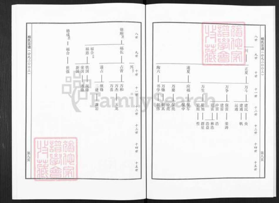 河南省洛阳市偃师市缑氏镇杨氏族谱-杨氏宗谱.pdf电子版预览图5