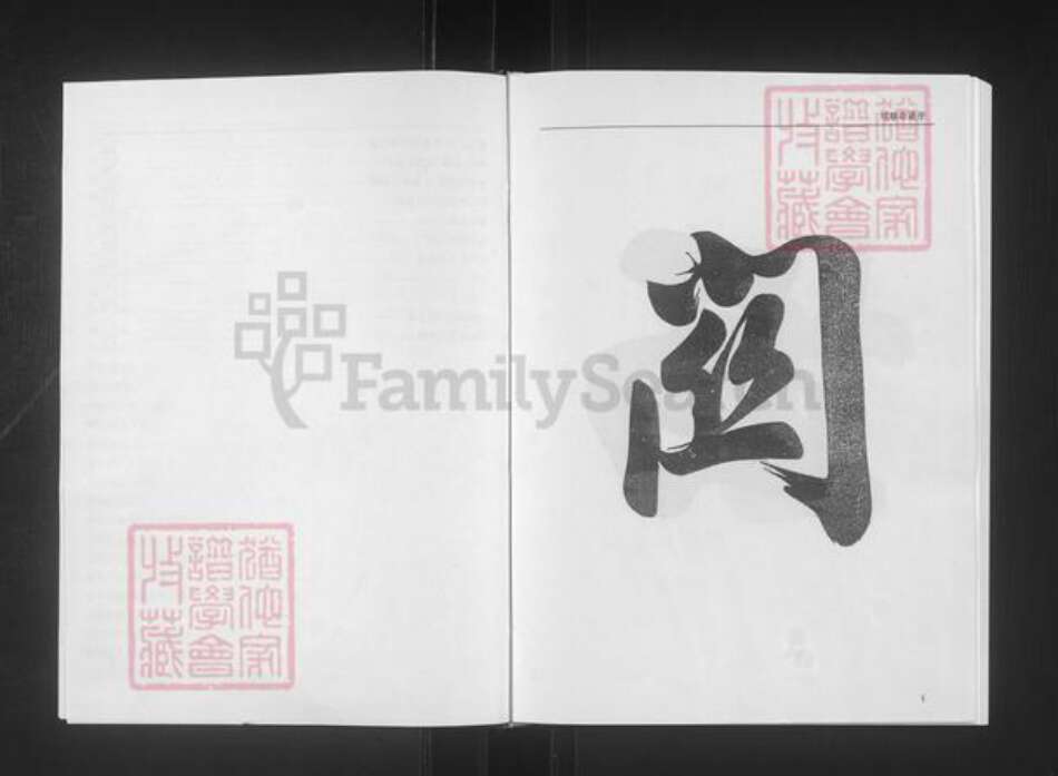 安徽省安庆市怀宁县杨氏贻经堂族谱-杨氏宗谱.pdf电子版预览图4