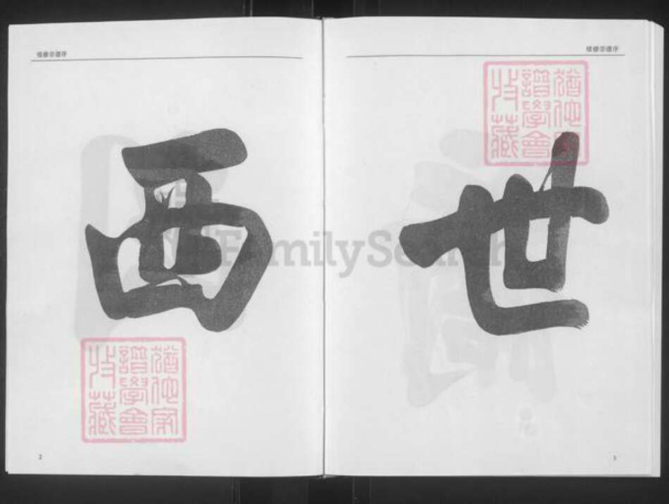 安徽省安庆市怀宁县杨氏贻经堂族谱-杨氏宗谱.pdf电子版预览图5