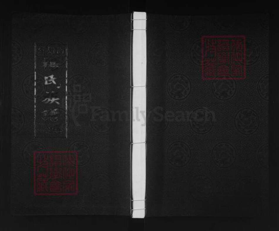 江苏省泰州市泰兴市杨氏四知堂族谱-杨氏族谱.pdf电子版缩略图