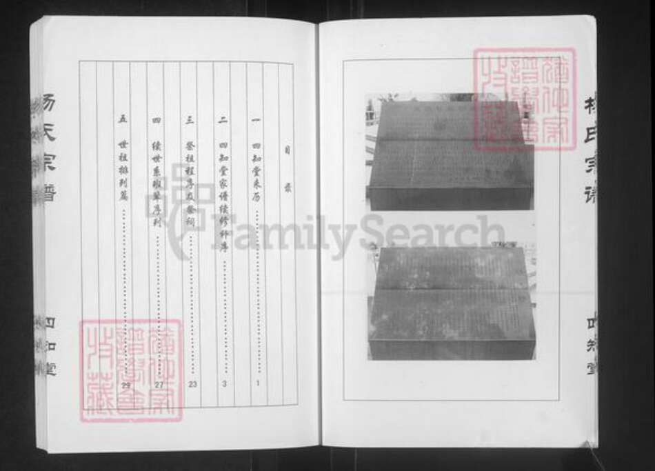江苏省盐城市建湖县杨氏四知堂族谱-杨氏宗谱.西门支系.pdf电子版预览图5